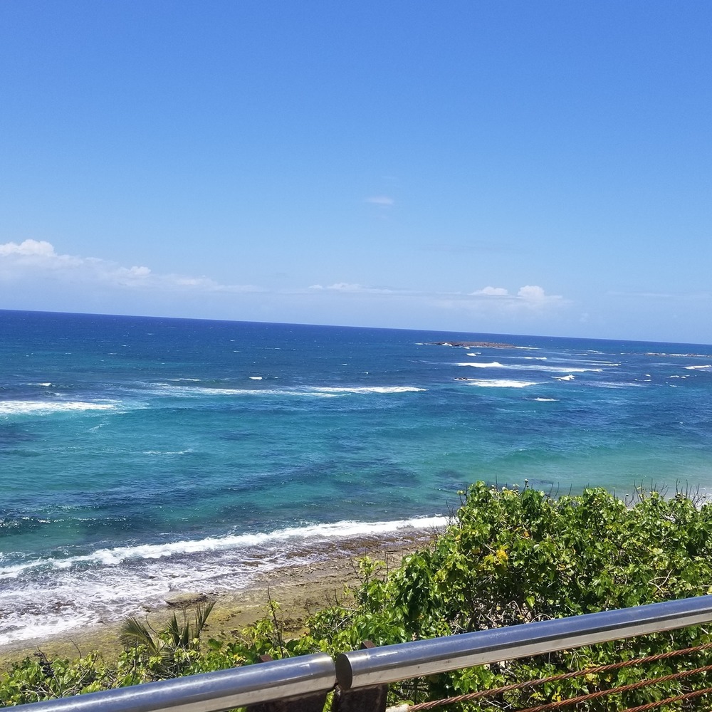 Meet your Posher, Rodney